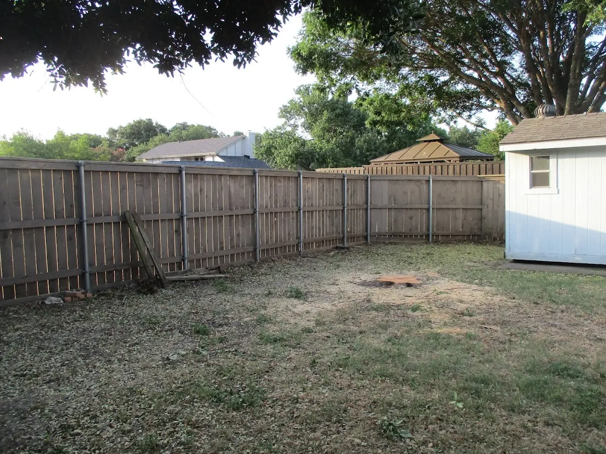 Cleared yard after professional tree removal in Petrolia